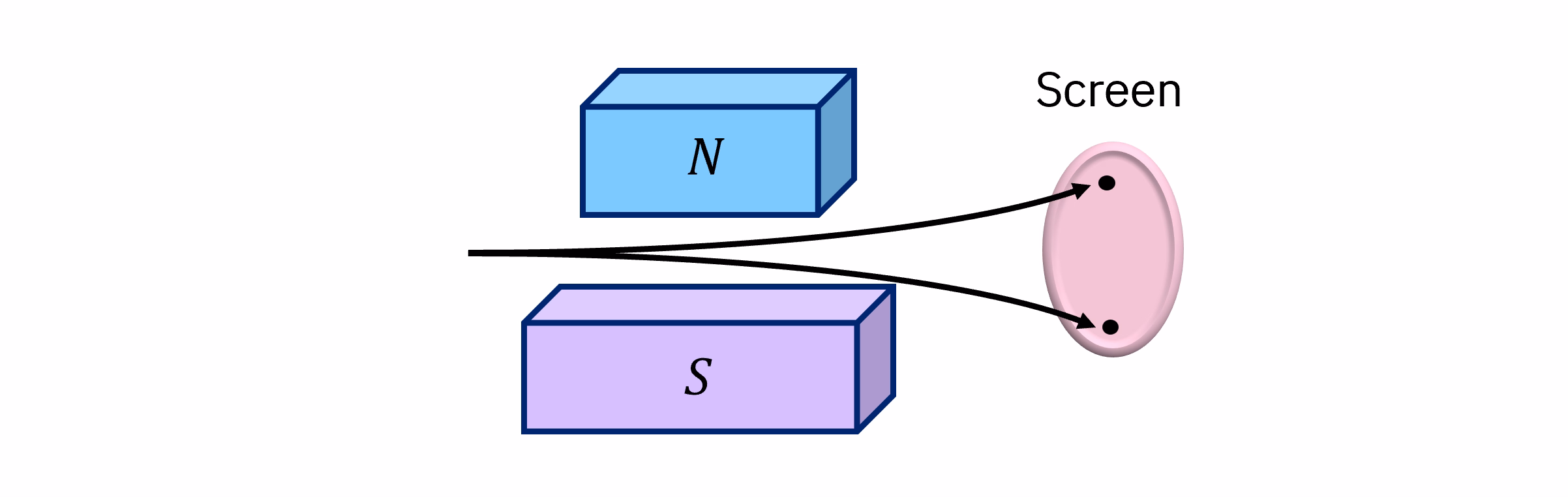Diagramma di un fascio di particelle deflesse verso l'alto o verso il basso, che colpisce uno di due punti su uno schermo, senza particelle tra questi due massimi